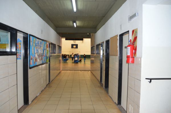 primaria6